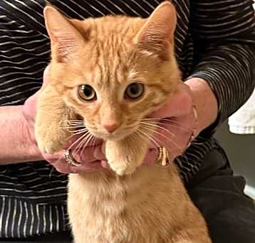 Photo of Ruby