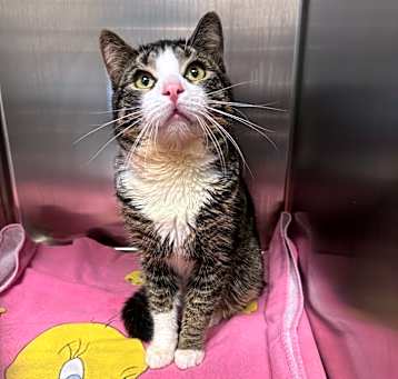 Photo of LUCKY