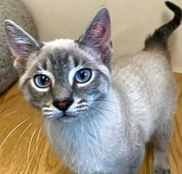 Photo of Walter24