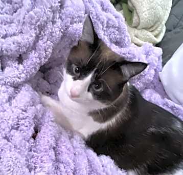 Photo of Peggy