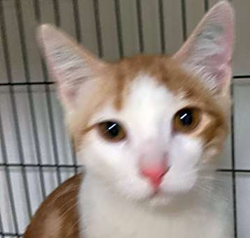 Photo of Punkin24