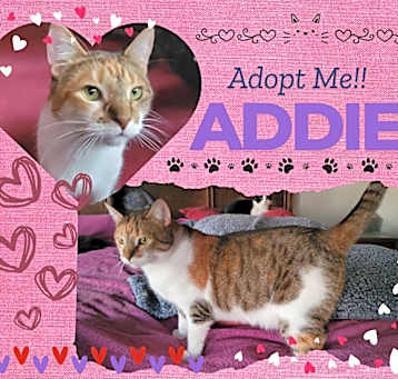 Photo of Addie