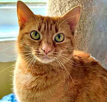 Photo of Cleo
