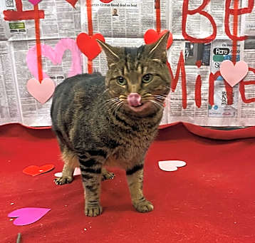 Photo of Cally