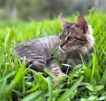 Photo of Penelope