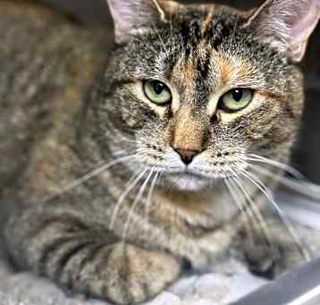 Photo of Mia