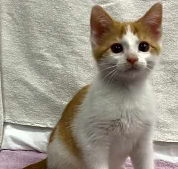 Photo of Zeus