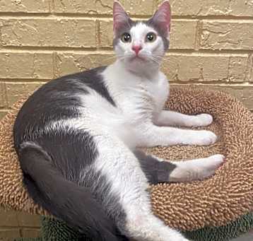 Photo of Frazier