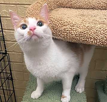 Photo of Niles