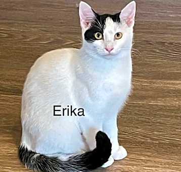 Photo of ERIKA