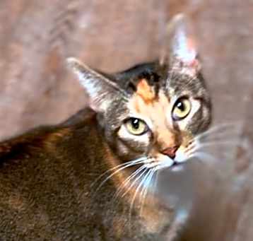 Photo of Bonita