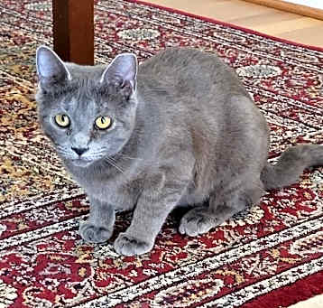 Photo of Samy