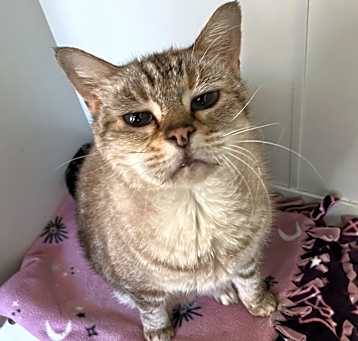 Photo of Kiki