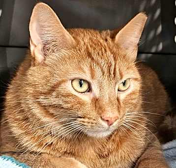 Photo of Chunk