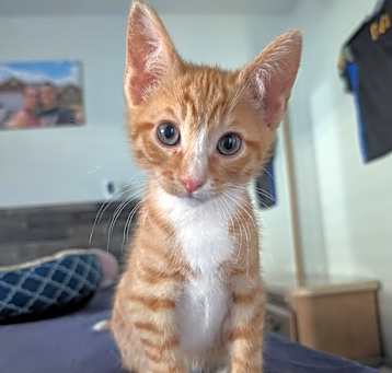 Photo of Ember