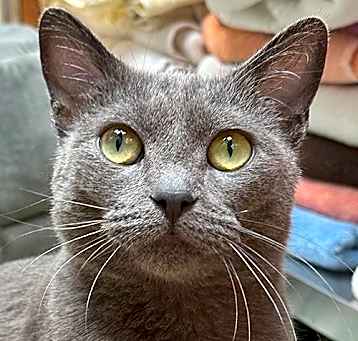 Photo of Olivia