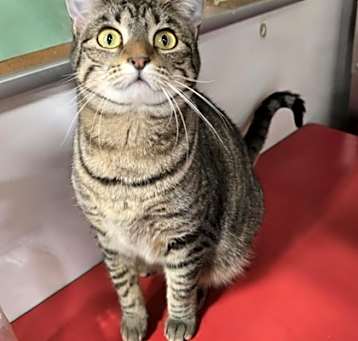 Photo of Kira *Colby*