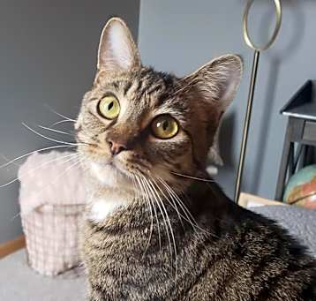 Photo of Benny
