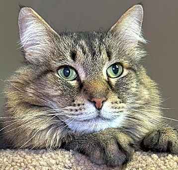 Photo of Sammy