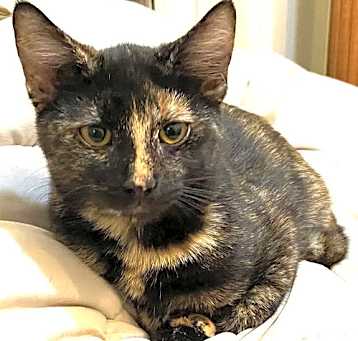 Photo of Rosie
