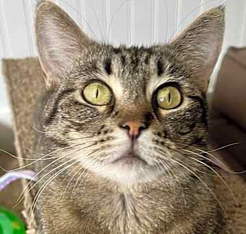 Photo of Luna