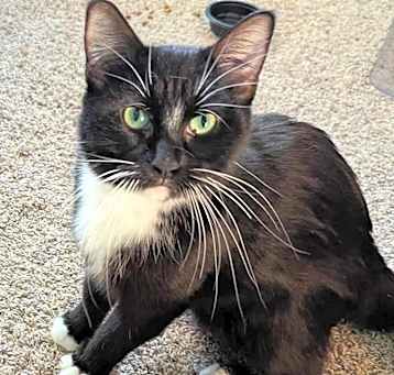 Photo of Sammy