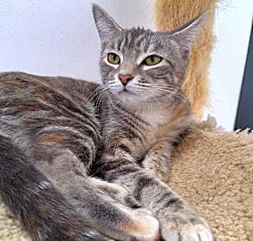 Photo of Penelope