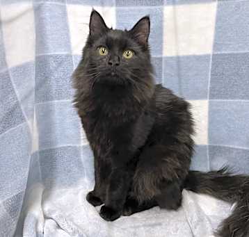 Photo of Hershey