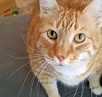 Photo of Jake