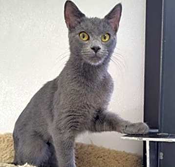 Photo of Charlie Rose