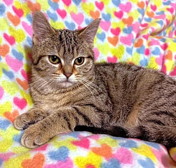 Photo of Holly