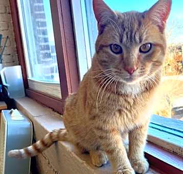 Photo of Spud