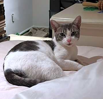 Photo of Mimi
