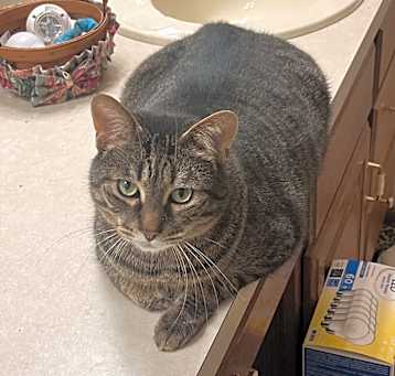 Photo of Mr. Tom