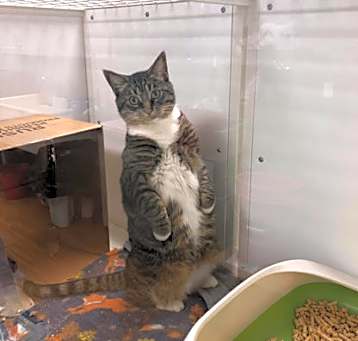 Photo of Cloud