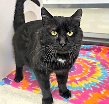 Photo of Big Dude 905610