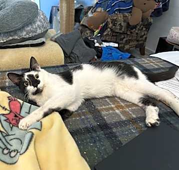 Photo of Jaxson De Ville