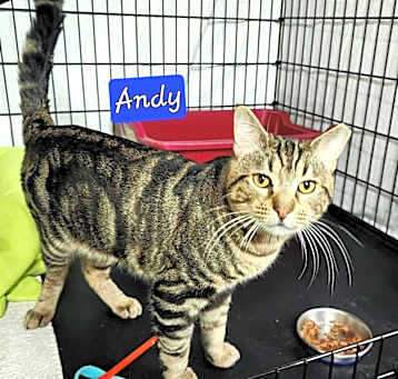 Photo of Andy