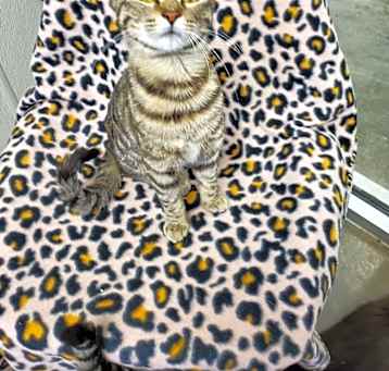 Photo of Sweetie