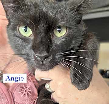 Photo of Angie