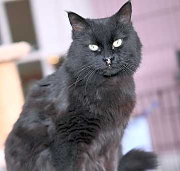 Photo of Lucy
