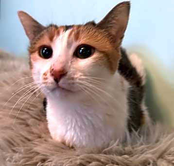 Photo of Olivia
