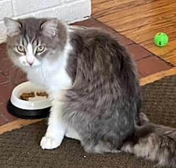 Photo of Floof