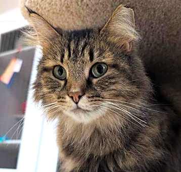 Photo of Angelica