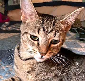 Photo of Pretty Boy