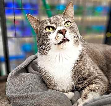 Photo of Rascal