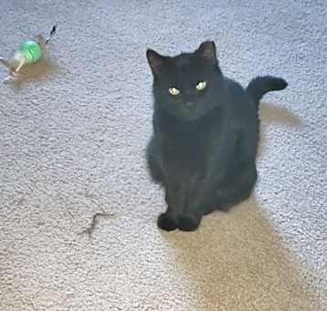 Photo of Zoe