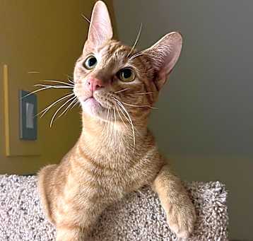 Photo of Spooky Cute