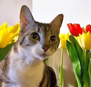 Photo of Tutti Frutti