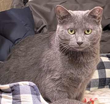 Photo of Graysie